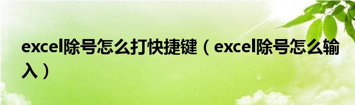 excel除号怎么打快捷键(excel除号怎么输入)