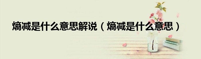 熵减是什么意思解说(熵减是什么意思)