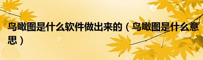 鸟瞰图是什么软件做出来的(鸟瞰图是什么意思)