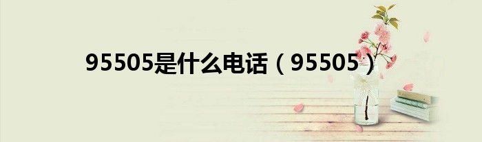 95505是什么电话(95505)