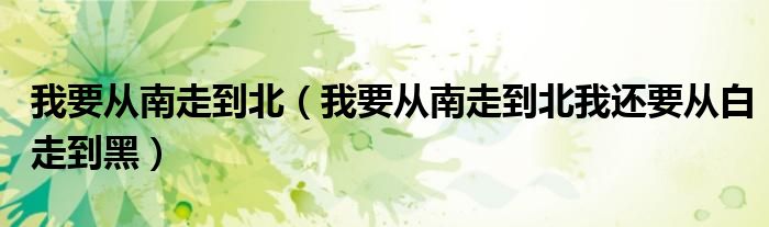 我要从南走到北(我要从南走到北我还要从白走到黑)
