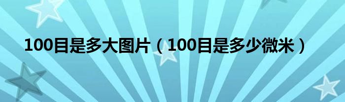 100目是多大图片（100目是多少微米）