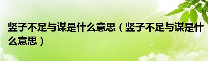 竖子不足与谋是什么意思(竖子不足与谋是什么意思)