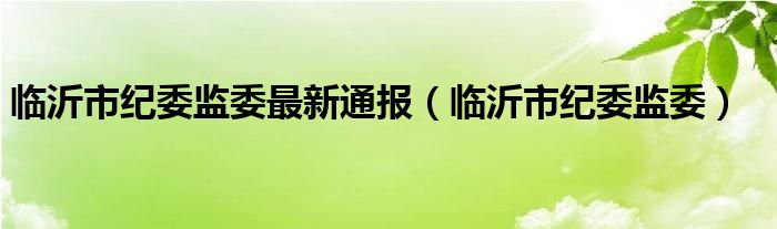 临沂市纪委监委最新通报(临沂市纪委监委)