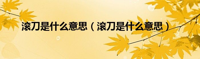 滚刀是什么意思(滚刀是什么意思)