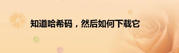知道哈希码,然后如何下载它