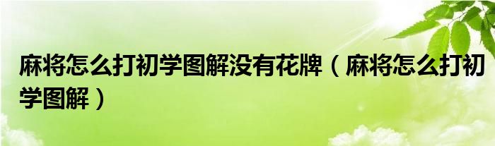 麻将怎么打初学图解没有花牌(麻将怎么打初学图解)