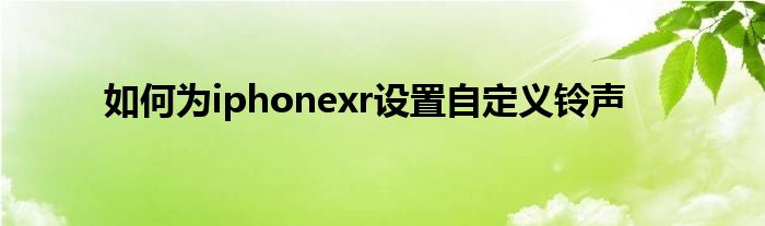 如何为iphonexr设置自定义铃声