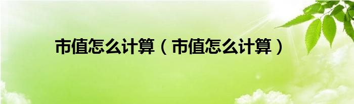 市值怎么计算(市值怎么计算)