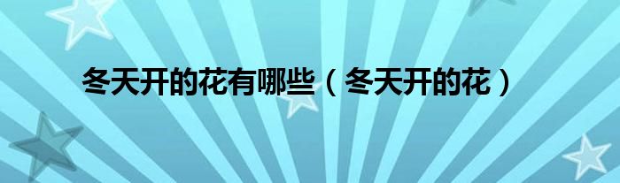 冬天开的花有哪些(冬天开的花)