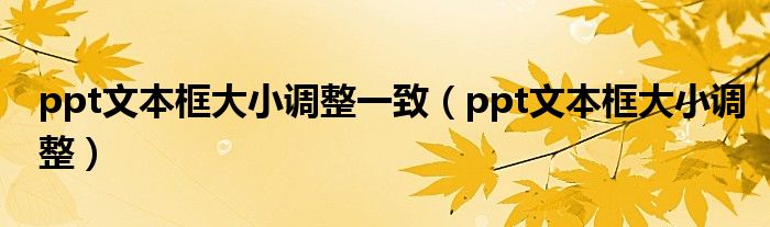 ppt文本框大小调整一致(ppt文本框大小调整)