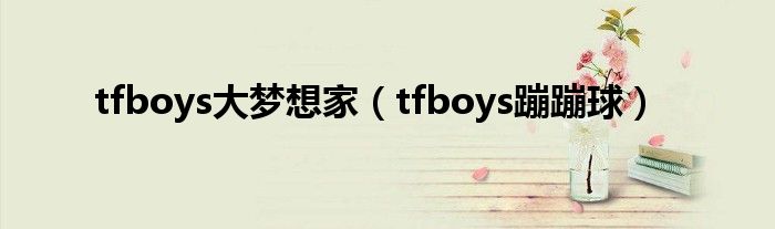tfboys大梦想家（tfboys蹦蹦球）