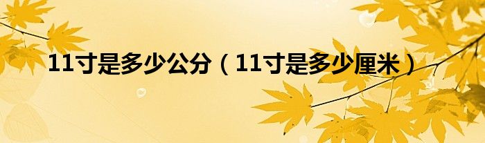 11寸是多少公分(11寸是多少厘米)
