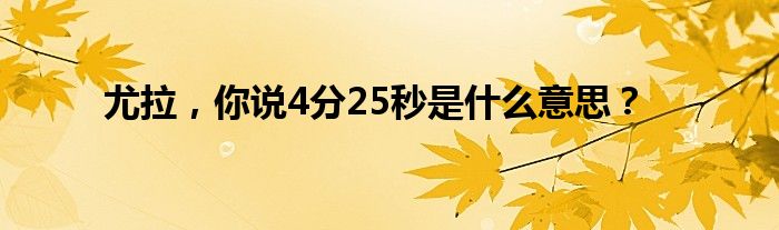 尤拉,你说4分25秒是什么意思?