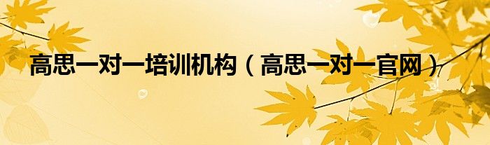高思一对一培训机构（高思一对一官网）