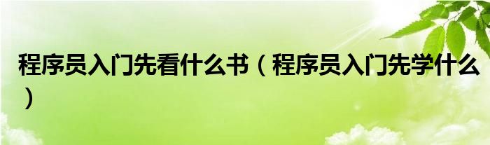 程序员入门先看什么书(程序员入门先学什么)