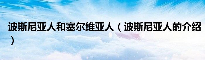 波斯尼亚人和塞尔维亚人(波斯尼亚人的介绍)