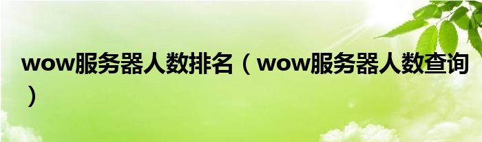 wow服务器人数排名(wow服务器人数查询)