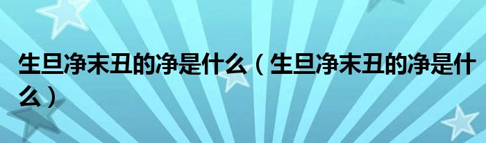 生旦净末丑的净是什么(生旦净末丑的净是什么)