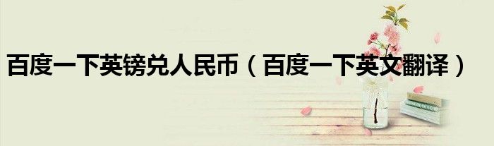 百度一下英镑兑人民币(百度一下英文翻译)