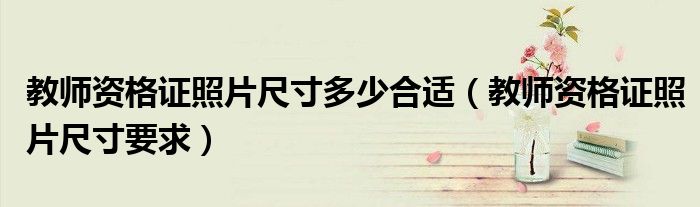 教师资格证照片尺寸多少合适(教师资格证照片尺寸要求)