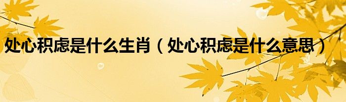 处心积虑是什么生肖(处心积虑是什么意思)