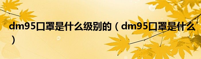 dm95口罩是什么级别的(dm95口罩是什么)