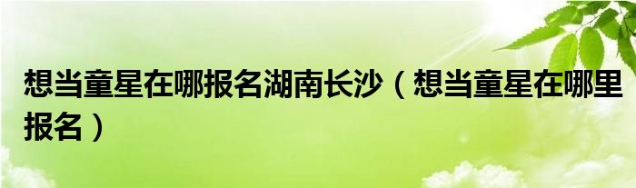 想当童星在哪报名湖南长沙(想当童星在哪里报名)
