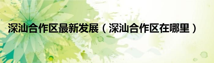 深汕合作区最新发展(深汕合作区在哪里)