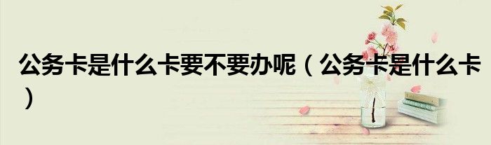 公务卡是什么卡要不要办呢（公务卡是什么卡）