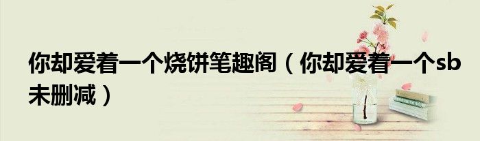 你却爱着一个烧饼笔趣阁(你却爱着一个sb未删减)