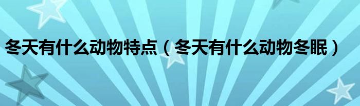 冬天有什么动物特点（冬天有什么动物冬眠）