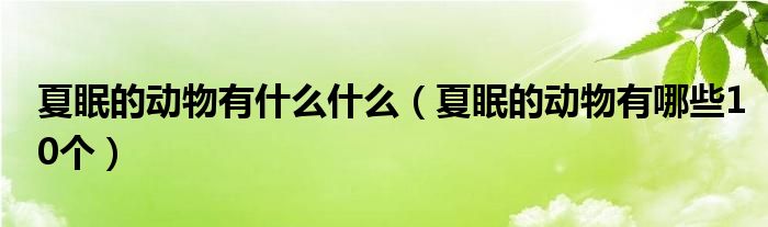 夏眠的动物有什么什么(夏眠的动物有哪些10个)