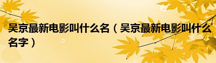吴京最新电影叫什么名(吴京最新电影叫什么名字)