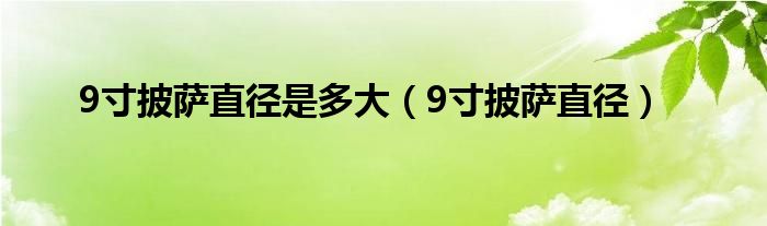 9寸披萨直径是多大（9寸披萨直径）