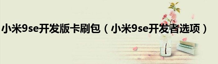 小米9se开发版卡刷包(小米9se开发者选项)