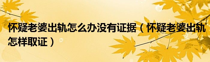 怀疑老婆出轨怎么办没有证据(怀疑老婆出轨怎样取证)