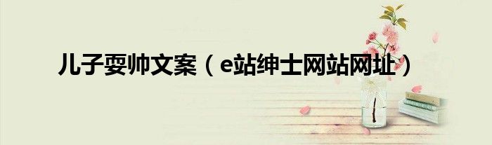 儿子耍帅文案(e站绅士网站网址)