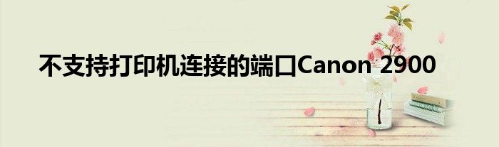 不支持打印机连接的端口Canon 2900