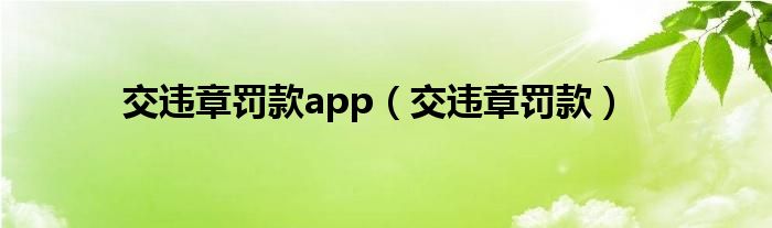 交违章罚款app(交违章罚款)