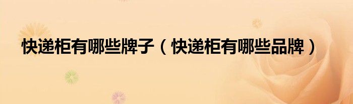 快递柜有哪些牌子(快递柜有哪些品牌)