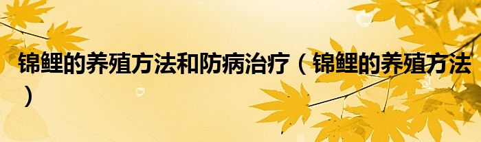 锦鲤的养殖方法和防病治疗(锦鲤的养殖方法)