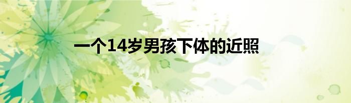 一个14岁男孩下体的近照