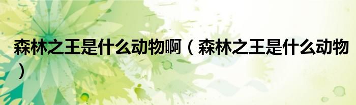 森林之王是什么动物啊(森林之王是什么动物)