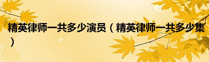 精英律师一共多少演员(精英律师一共多少集)