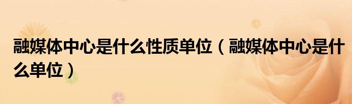 融媒体中心是什么性质单位(融媒体中心是什么单位)