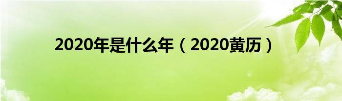 2020年是什么年(2020黄历)