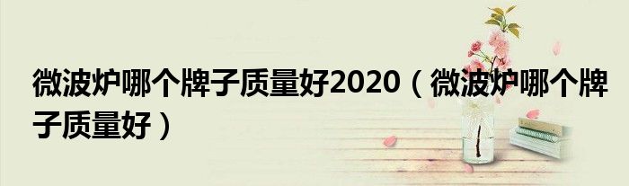 微波炉哪个牌子质量好2020(微波炉哪个牌子质量好)