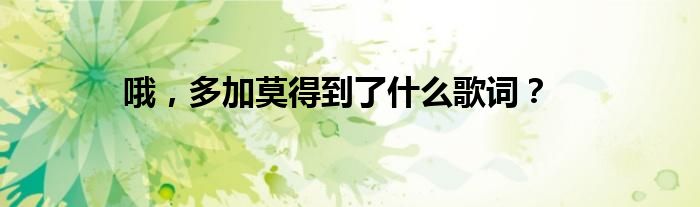 哦,多加莫得到了什么歌词?