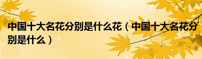 中国十大名花分别是什么花(中国十大名花分别是什么)